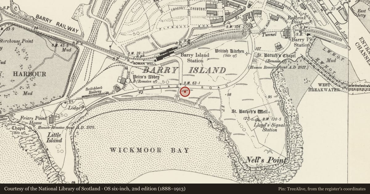 Ordnance Survey six-inch map, 2nd edition (1888–1913) covering the location of Public Convenience, Barry, Vale of Glamorgan, with a pin at the register's coordinates