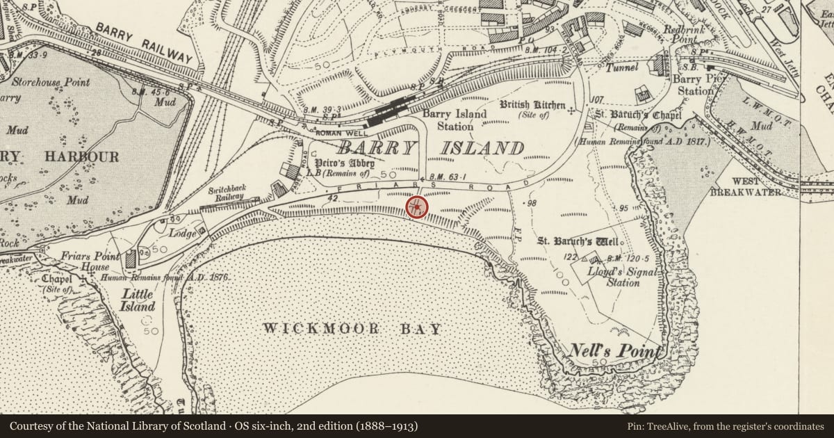 Ordnance Survey six-inch map, 2nd edition (1888–1913) covering the location of Pedestrian Bridge, Barry, Vale of Glamorgan, with a pin at the register's coordinates
