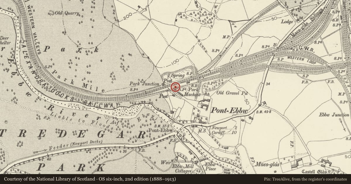 Ordnance Survey six-inch map, 2nd edition (1888–1913) covering the location of Park Junction Golden Mile Pillar, Gaer, Newport, with a pin at the register's coordinates