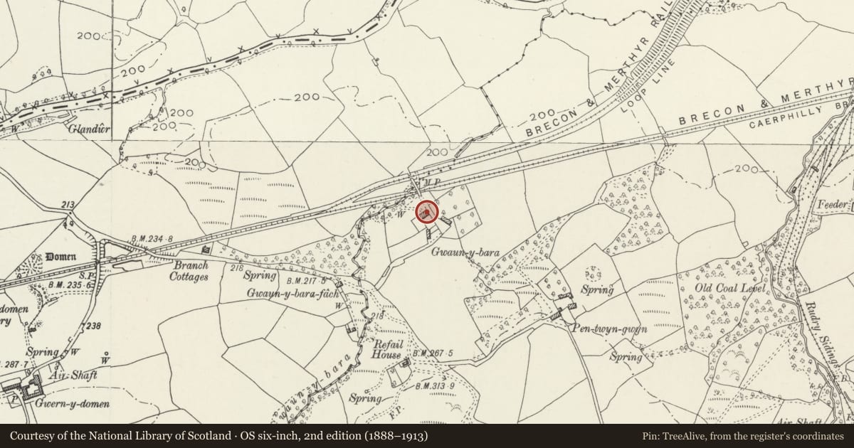 Ordnance Survey six-inch map, 2nd edition (1888–1913) covering the location of Gwaun-y-bara, Rudry, Caerphilly, with a pin at the register's coordinates