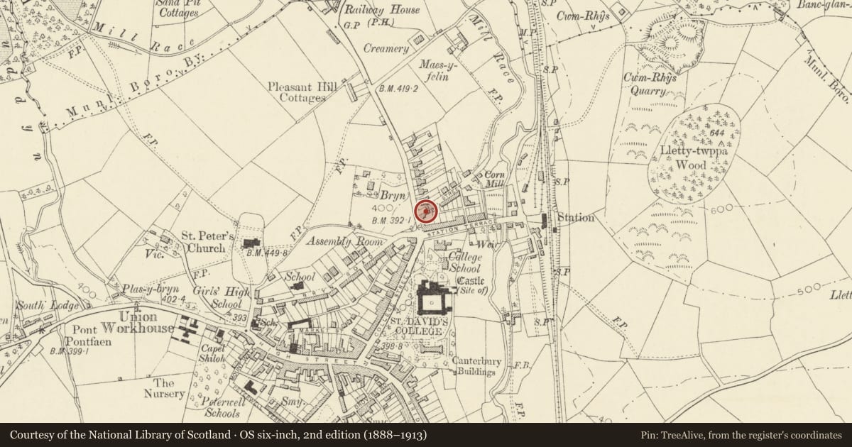 Ordnance Survey six-inch map, 2nd edition (1888–1913) covering the location of Millfield Cottage, Lampeter, Ceredigion, with a pin at the register's coordinates