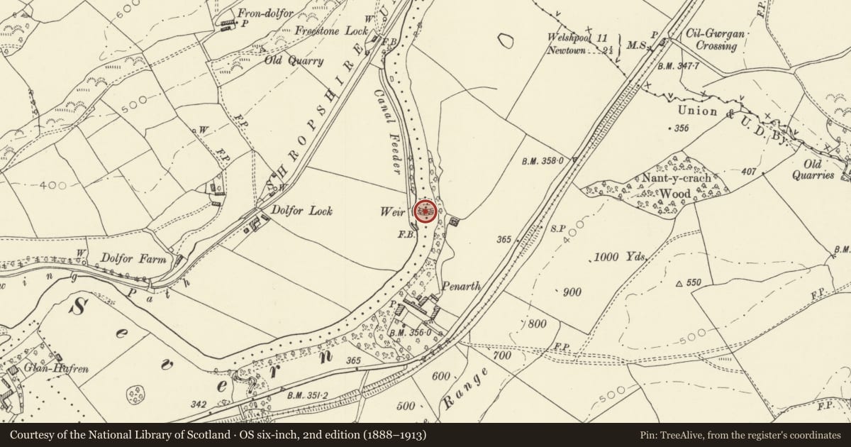 Ordnance Survey six-inch map, 2nd edition (1888–1913) covering the location of Penarth Feeder Weir, Newtown and Llanllwchaiarn, Powys, with a pin at the register's coordinates