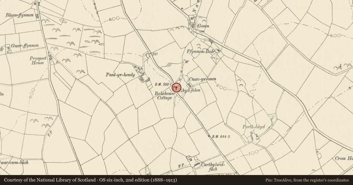 Ordnance Survey six-inch map, 2nd edition (1888–1913) covering the location of Rhydfelin, Llanarth, Ceredigion, with a pin at the register's coordinates