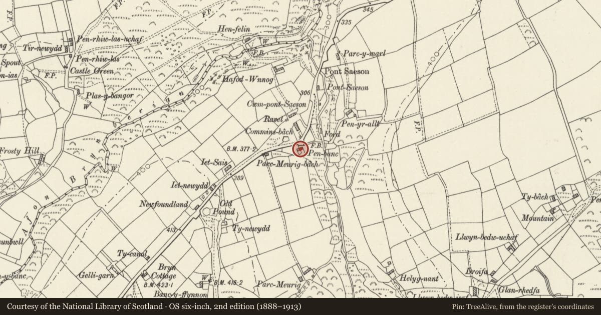Ordnance Survey six-inch map, 2nd edition (1888–1913) covering the location of Penbanc, Eglwyswrw, Pembrokeshire, with a pin at the register's coordinates