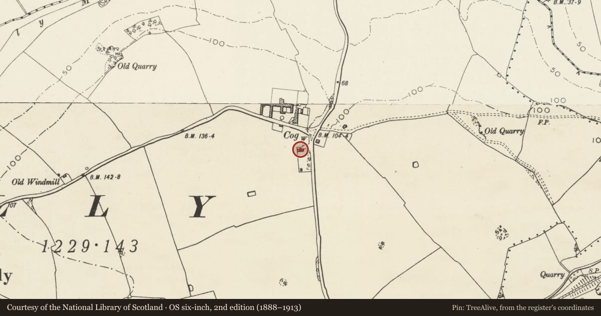 Ordnance Survey six-inch map, 2nd edition (1888–1913) covering the location of Nicells, Sully, Vale of Glamorgan, with a pin at the register's coordinates