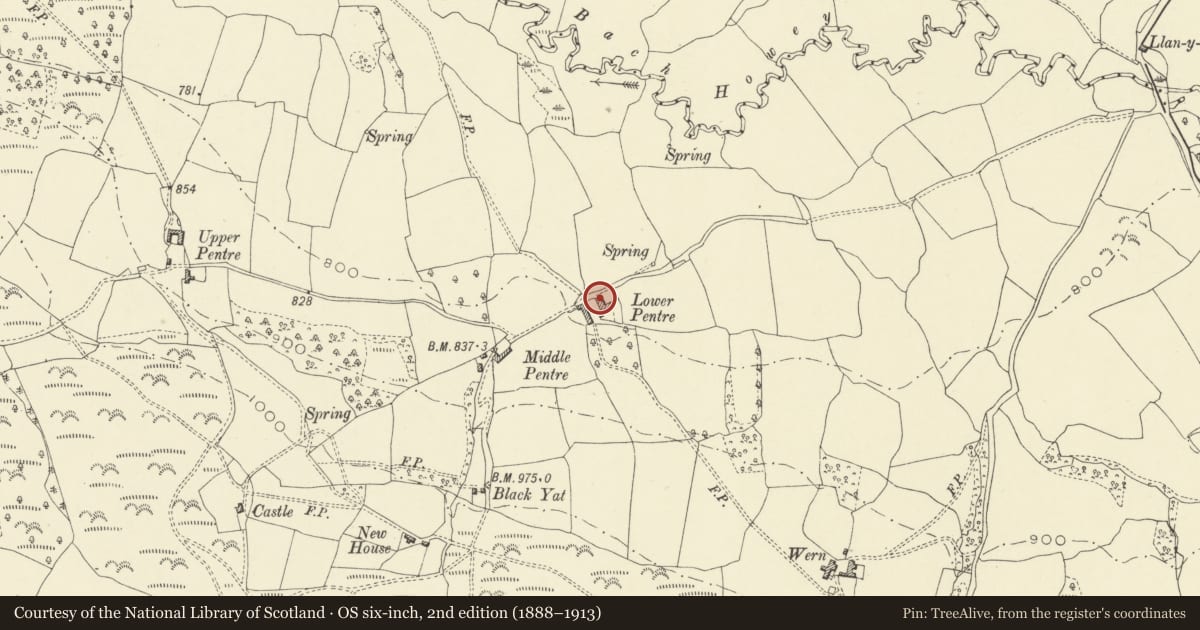 Ordnance Survey six-inch map, 2nd edition (1888–1913) covering the location of Lower Pentre Farmhouse, Painscastle, Powys, with a pin at the register's coordinates