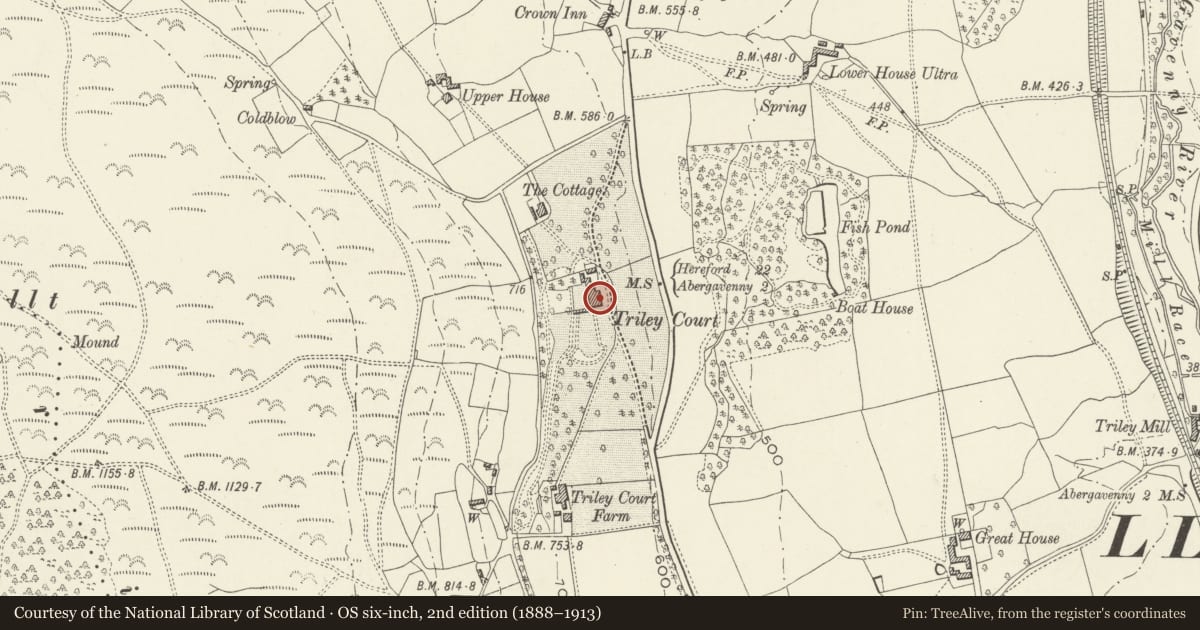 Ordnance Survey six-inch map, 2nd edition (1888–1913) covering the location of Triley Court, Llantilio Pertholey, Monmouthshire, with a pin at the register's coordinates