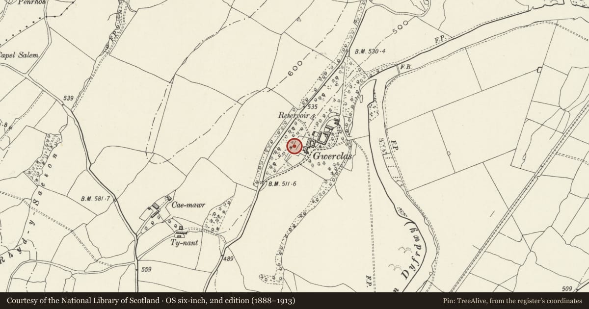 Ordnance Survey six-inch map, 2nd edition (1888–1913) covering the location of Summerhouse, Garden Wall and attached privy at Gwerclas Hall, Cynwyd, Denbighshire, with a pin at the register's coordinates