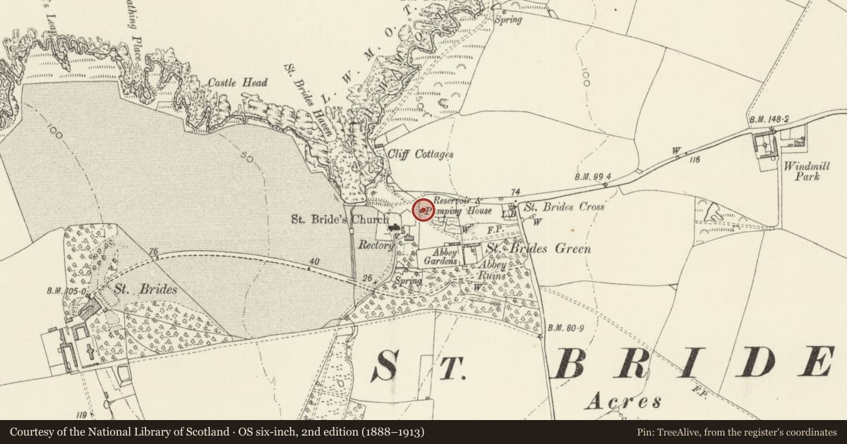 Ordnance Survey six-inch map, 2nd edition (1888–1913) covering the location of Pump House, reservoir and boundary wall, Marloes and St. Brides, Pembrokeshire, with a pin at the register's coordinates
