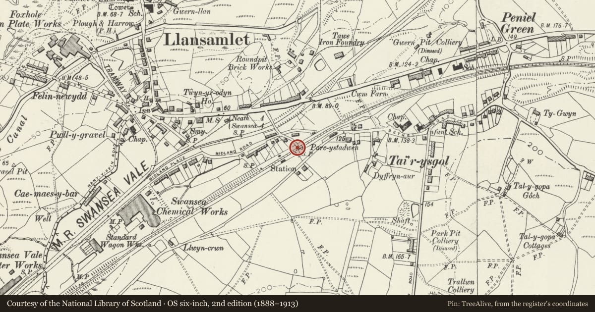 Ordnance Survey six-inch map, 2nd edition (1888–1913) covering the location of Llansamlet Railway Underbridge, Swansea, with a pin at the register's coordinates