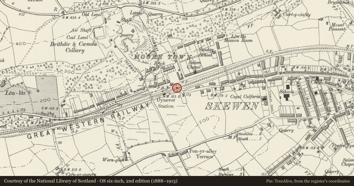 Ordnance Survey six-inch map, 2nd edition (1888–1913) covering the location of New Road Overbridge, Coedffranc, Neath Port Talbot, with a pin at the register's coordinates