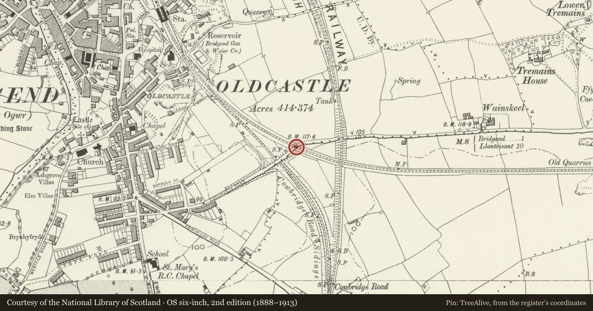 Ordnance Survey six-inch map, 2nd edition (1888–1913) covering the location of West Skeal Overbridge, Bridgend, with a pin at the register's coordinates