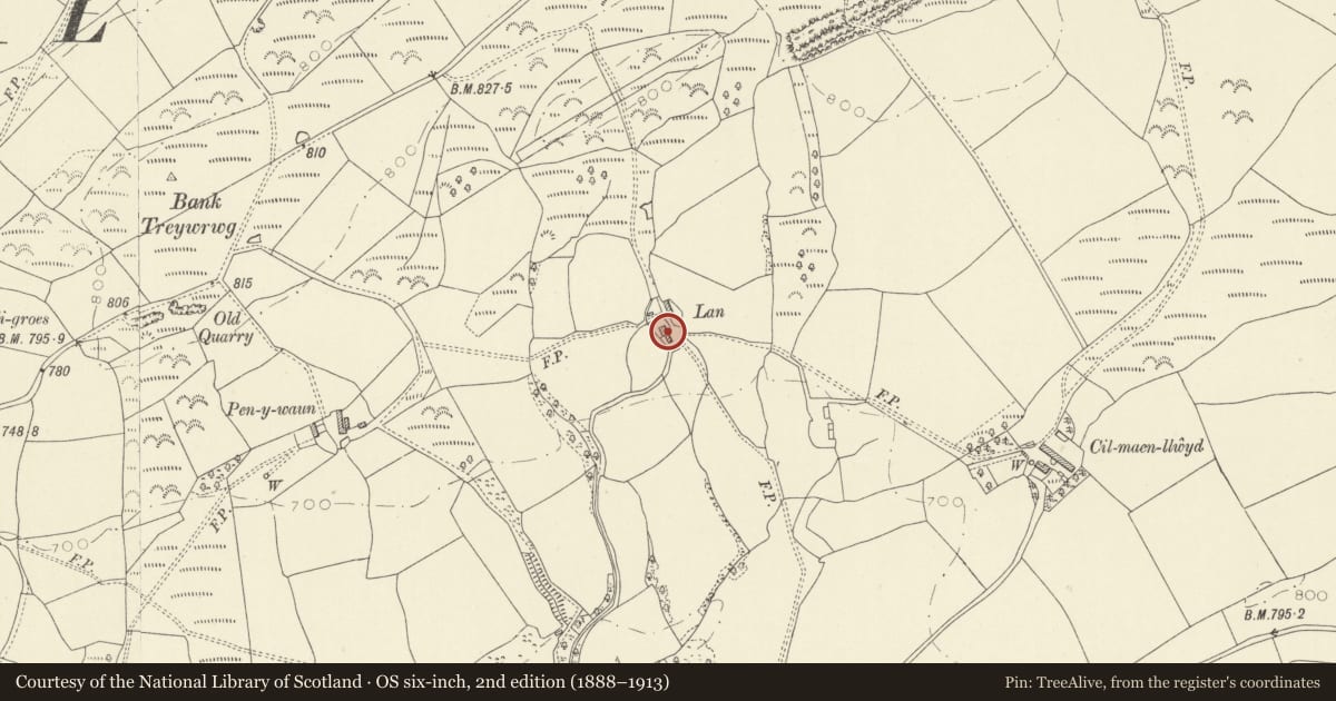 Ordnance Survey six-inch map, 2nd edition (1888–1913) covering the location of Lan Farmhouse and attached cowshed, Dyffryn Cennen, Carmarthenshire, with a pin at the register's coordinates