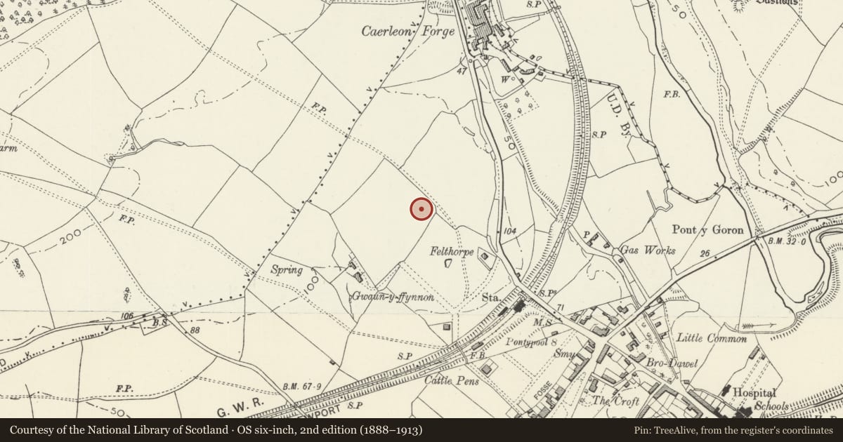 Ordnance Survey six-inch map, 2nd edition (1888–1913) covering the location of Principal’s Residence at the University of South Wales, Caerleon Campus, Newport, with a pin at the register's coordinates