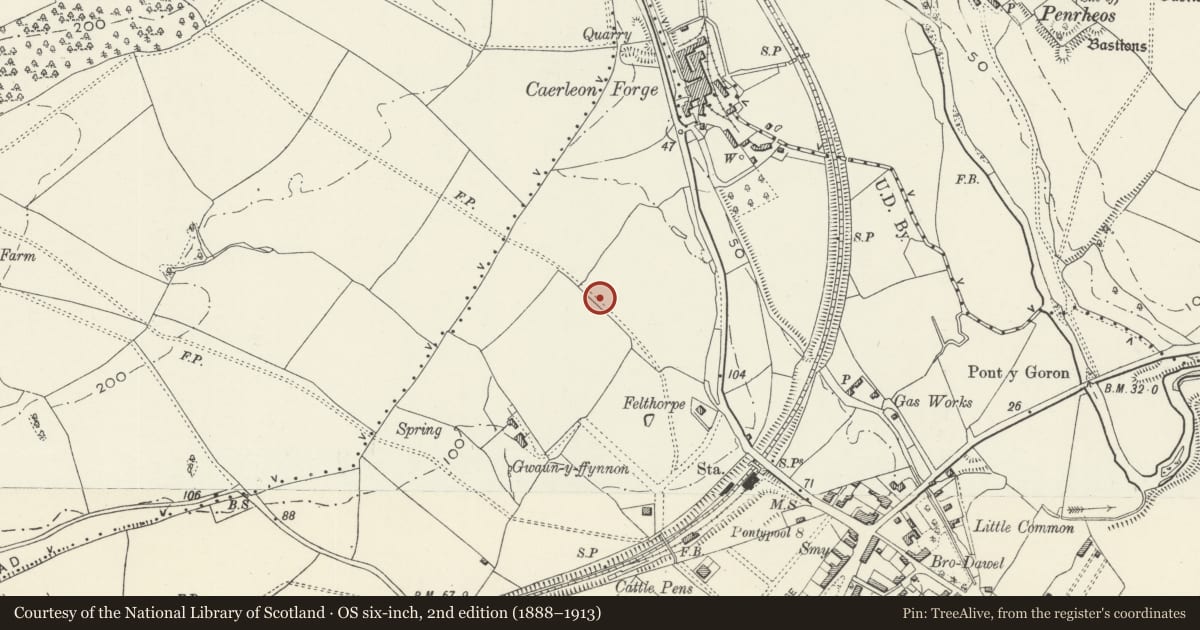 Ordnance Survey six-inch map, 2nd edition (1888–1913) covering the location of Former Caerleon Teacher Training College Building, Newport, with a pin at the register's coordinates