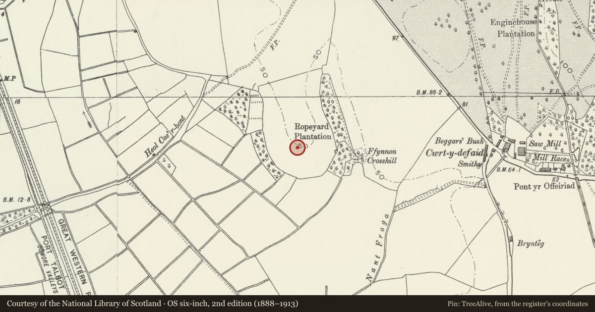 Ordnance Survey six-inch map, 2nd edition (1888–1913) covering the location of Margam Crematorium, Neath Port Talbot, with a pin at the register's coordinates