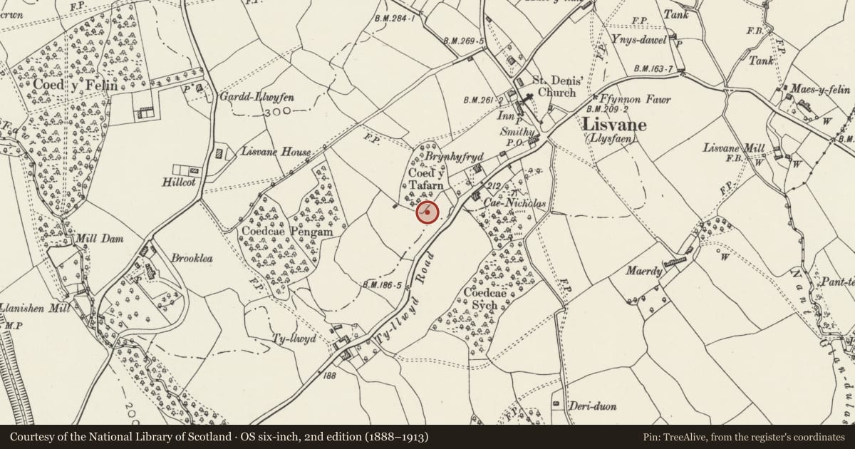 Ordnance Survey six-inch map, 2nd edition (1888–1913) covering the location of Coach House at Ty Gwyn, Lisvane, Cardiff, with a pin at the register's coordinates