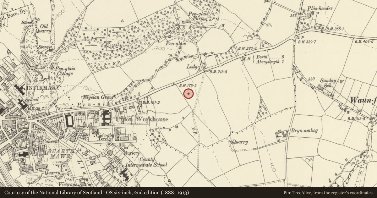 Ordnance Survey six-inch map, 2nd edition (1888–1913) covering the location of Cledwyn Main Building, Aberystwyth, Ceredigion, with a pin at the register's coordinates