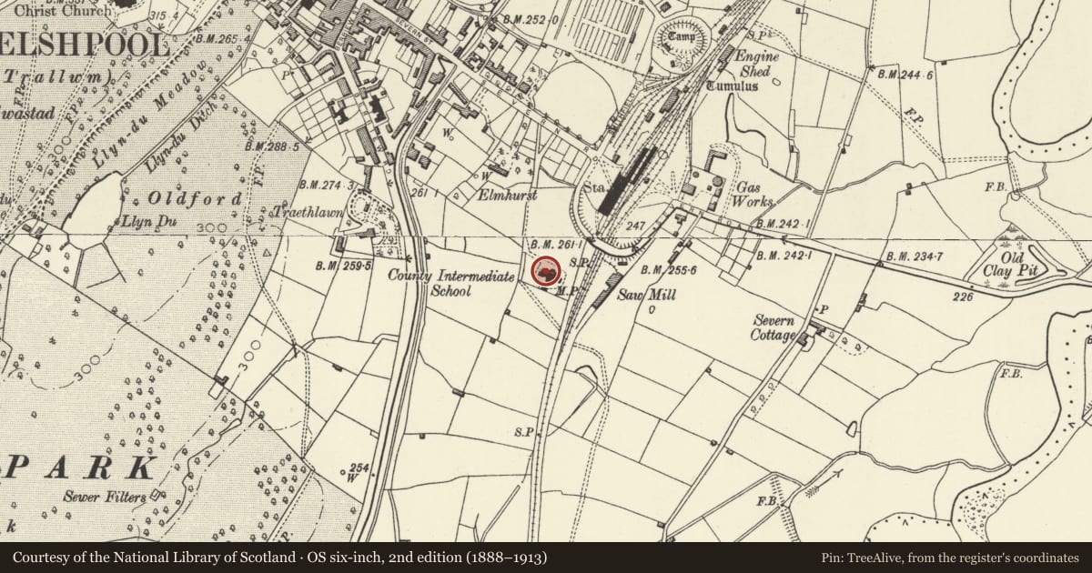 Ordnance Survey six-inch map, 2nd edition (1888–1913) covering the location of Ysgol Maesydre, Welshpool, Powys, with a pin at the register's coordinates