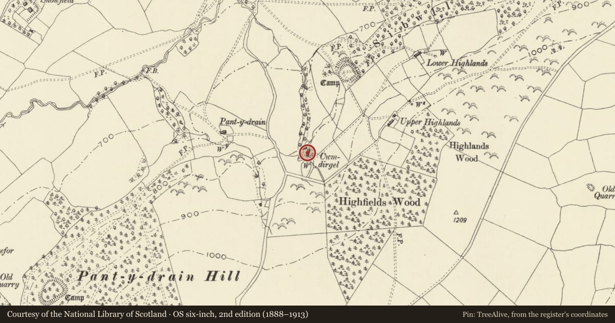 Ordnance Survey six-inch map, 2nd edition (1888–1913) covering the location of Cwm-dirgel, Kerry, Powys, with a pin at the register's coordinates