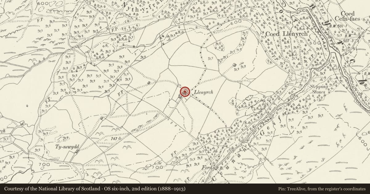 Ordnance Survey six-inch map, 2nd edition (1888–1913) covering the location of Barn and Cart Shed at Llennyrch Farm, Talsarnau, Gwynedd, with a pin at the register's coordinates