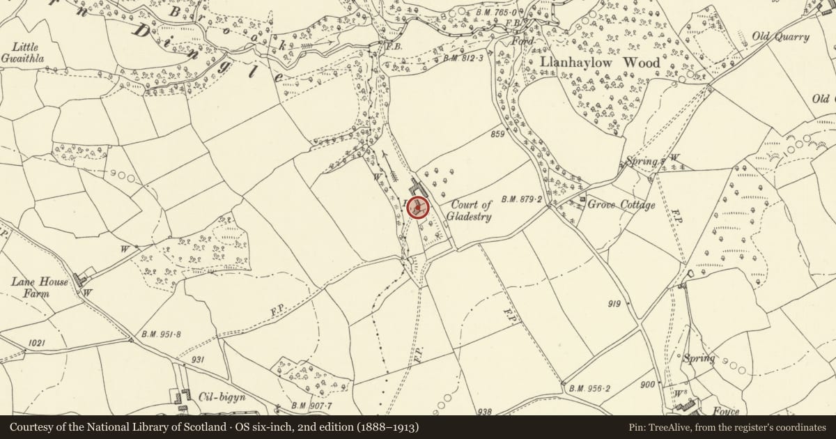Ordnance Survey six-inch map, 2nd edition (1888–1913) covering the location of Court of Gladestry, Powys, with a pin at the register's coordinates
