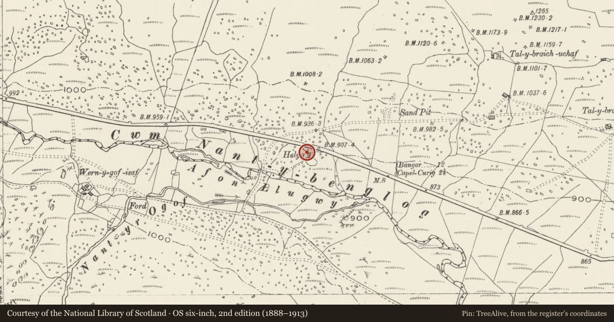 Ordnance Survey six-inch map, 2nd edition (1888–1913) covering the location of Helyg, Capel Curig, Conwy, with a pin at the register's coordinates