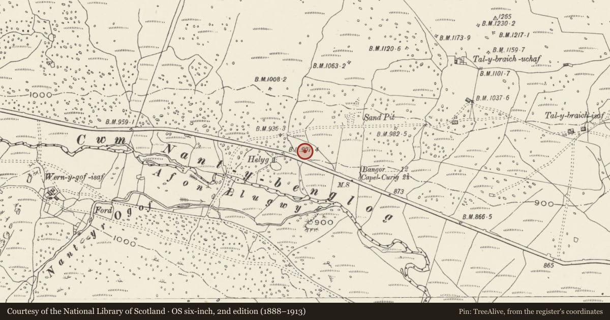 Ordnance Survey six-inch map, 2nd edition (1888–1913) covering the location of Garage at Helyg, Capel Curig, Conwy, with a pin at the register's coordinates