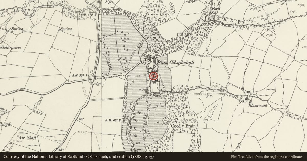 Ordnance Survey six-inch map, 2nd edition (1888–1913) covering the location of Concrete Outbuilding at Plas Farm, Cilybebyll, Neath Port Talbot, with a pin at the register's coordinates