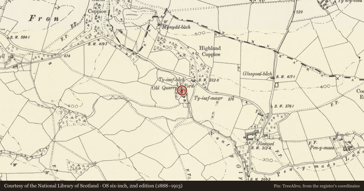 Ordnance Survey six-inch map, 2nd edition (1888–1913) covering the location of Ty Issa, Llansantffraid, Powys, with a pin at the register's coordinates