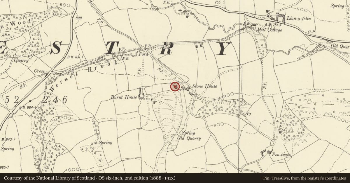 Ordnance Survey six-inch map, 2nd edition (1888–1913) covering the location of Stone House, Gladestry, Powys, with a pin at the register's coordinates