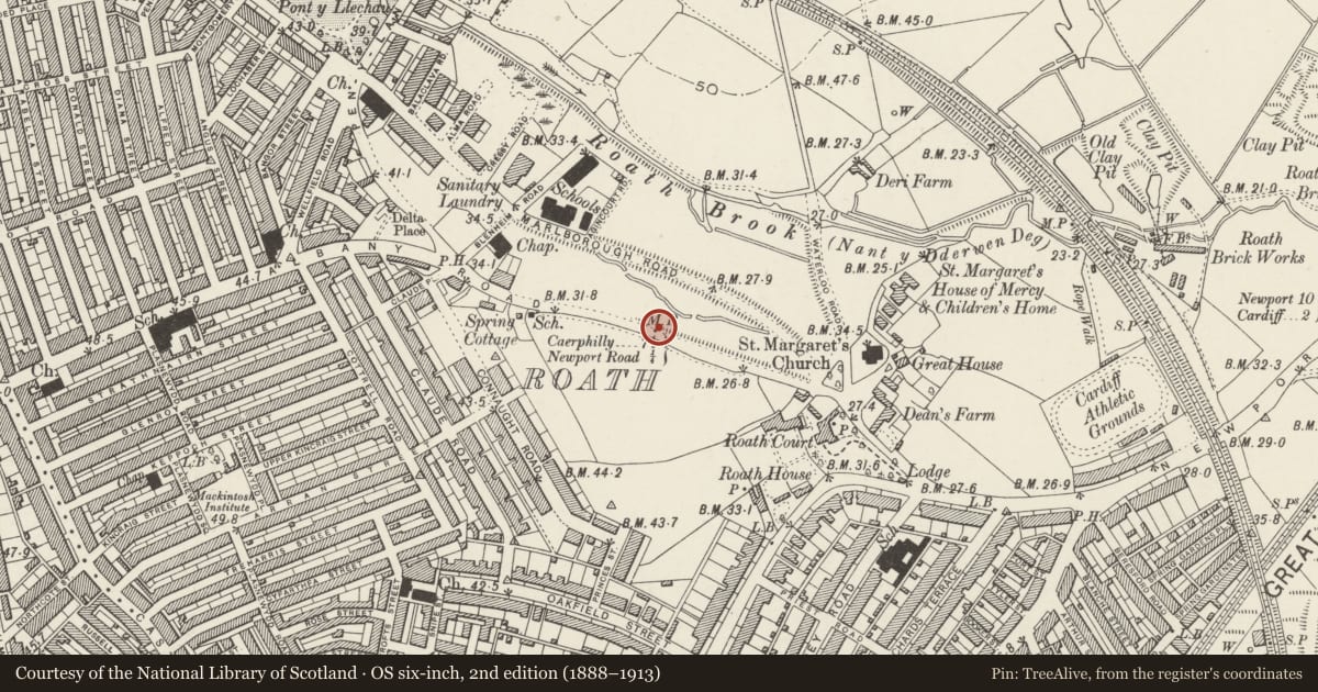 Ordnance Survey six-inch map, 2nd edition (1888–1913) covering the location of Milepost outside No. 243 Albany Road, Penylan, Cardiff, with a pin at the register's coordinates