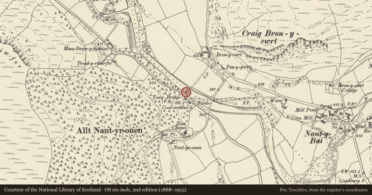Ordnance Survey six-inch map, 2nd edition (1888–1913) covering the location of Rhandirmwyn Bridge (partly in Llanfair-ar-y-Bryn community), Cilycwm, Carmarthenshire, with a pin at the register's coordinates