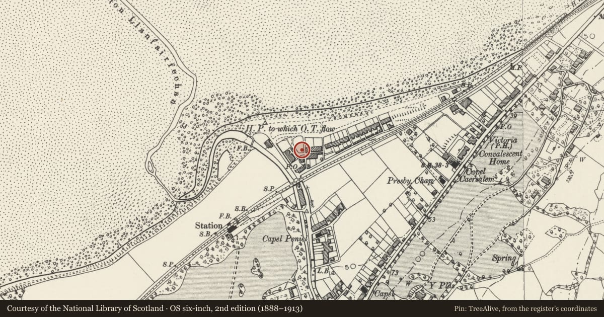 Ordnance Survey six-inch map, 2nd edition (1888–1913) covering the location of Gwynfor, Llanfairfechan, Conwy, with a pin at the register's coordinates