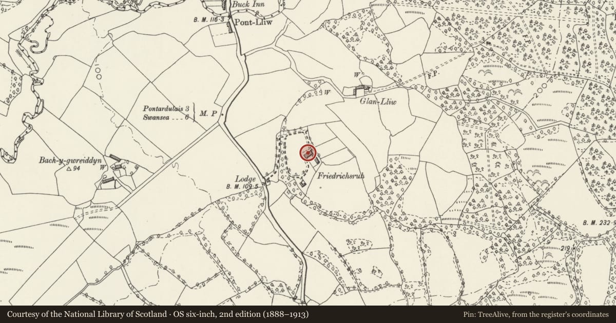 Ordnance Survey six-inch map, 2nd edition (1888–1913) covering the location of The Poplars, Pontlliw and Tircoed, Swansea, with a pin at the register's coordinates