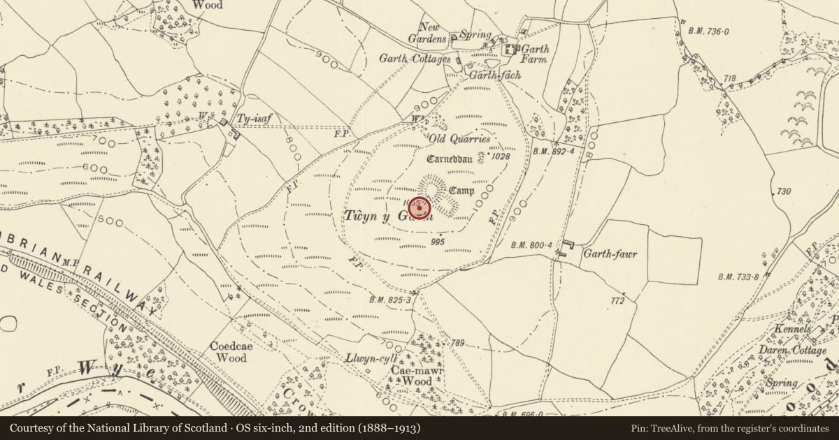 Ordnance Survey six-inch map, 2nd edition (1888–1913) covering the location of Twyn y Garth Gun, Painscastle, Powys, with a pin at the register's coordinates