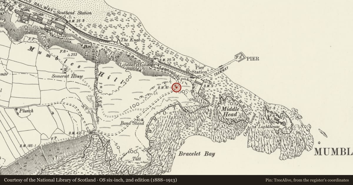 Ordnance Survey six-inch map, 2nd edition (1888–1913) covering the location of The Big Apple Kiosk, Mumbles, Swansea, with a pin at the register's coordinates