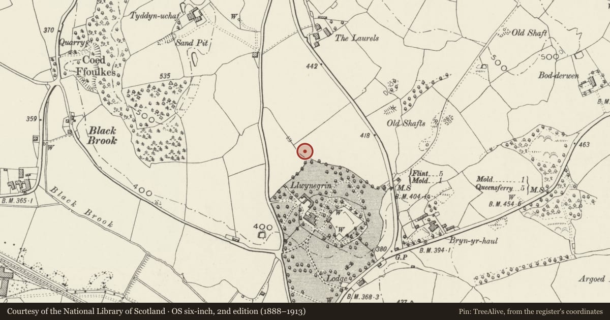 Ordnance Survey six-inch map, 2nd edition (1888–1913) covering the location of Theatr Clwyd, Mold, Flintshire, with a pin at the register's coordinates