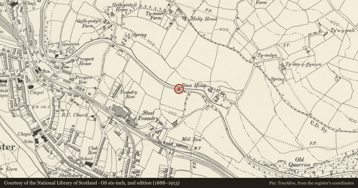 Ordnance Survey six-inch map, 2nd edition (1888–1913) covering the location of Milepost east of Lower Wyndham Terrace, Risca, Caerphilly, with a pin at the register's coordinates