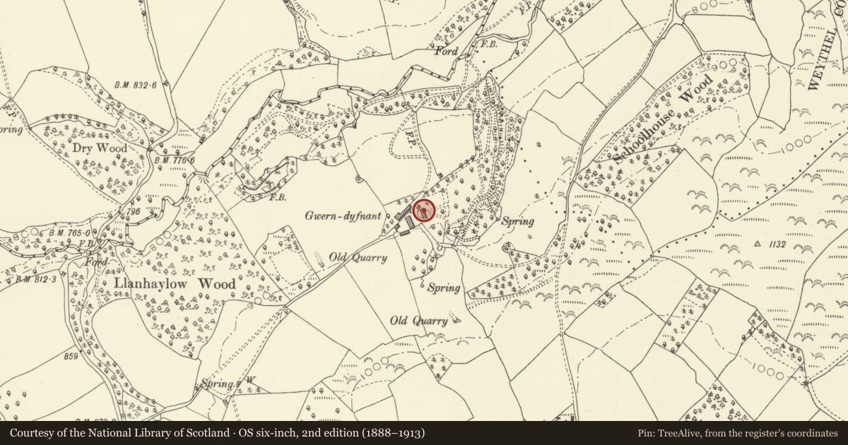 Ordnance Survey six-inch map, 2nd edition (1888–1913) covering the location of Gwerndyfnant, Gladestry, Powys, with a pin at the register's coordinates