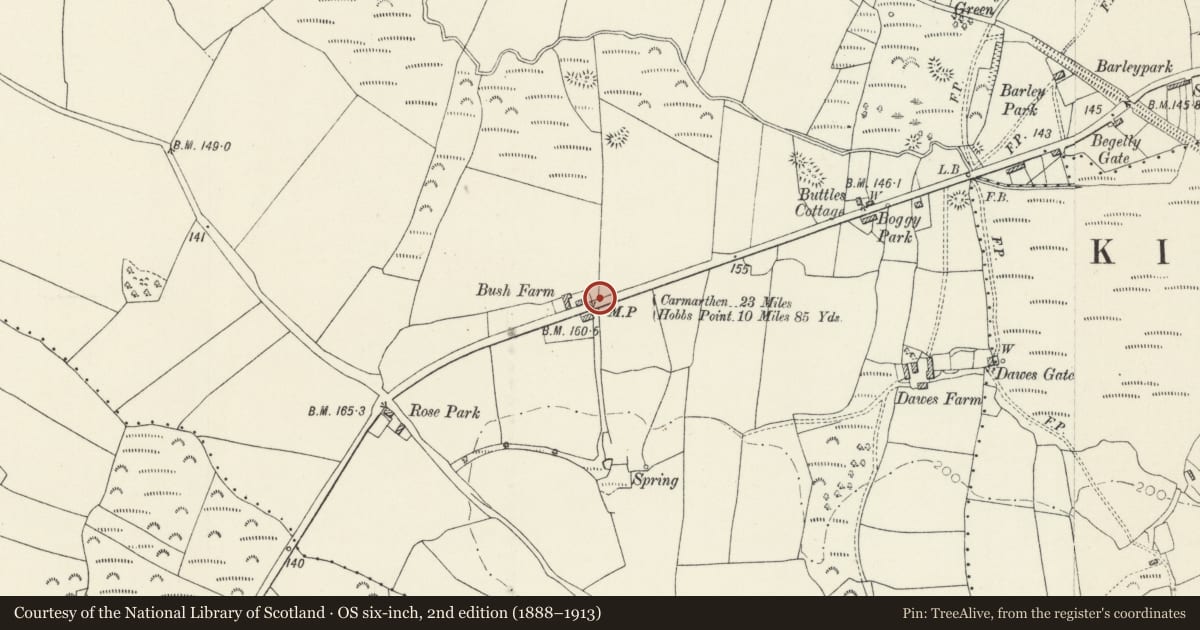 Ordnance Survey six-inch map, 2nd edition (1888–1913) covering the location of Milestone on A477 opposite Bush Farm, Kilgetty/Begelly, Pembrokeshire, with a pin at the register's coordinates