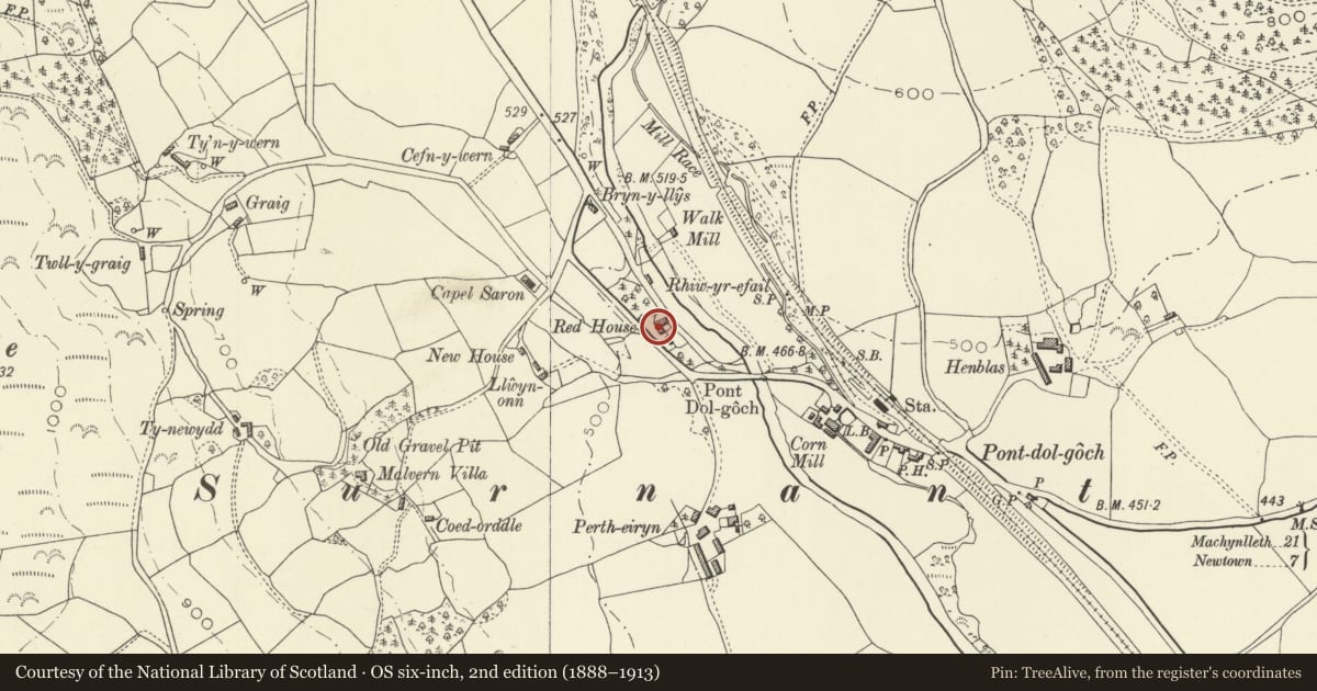 Ordnance Survey six-inch map, 2nd edition (1888–1913) covering the location of Ty Coch house, sawmill, carpenters’ workshop, waterwheel and attached machinery, Caersws, Powys, with a pin at the register's coordinates