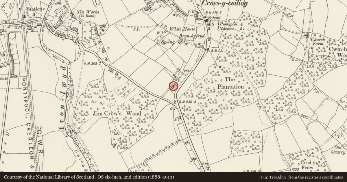 Ordnance Survey six-inch map, 2nd edition (1888–1913) covering the location of 2 Jim Crow Square, Croesyceiliog, Torfaen, with a pin at the register's coordinates
