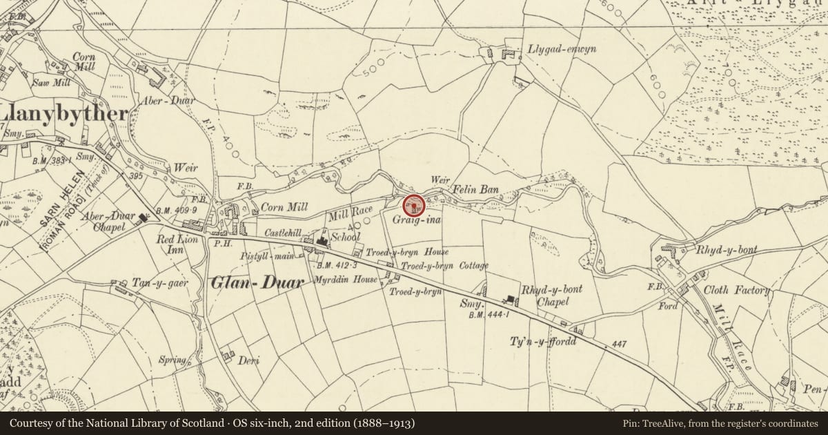 Ordnance Survey six-inch map, 2nd edition (1888–1913) covering the location of Graigina, Llanybydder, Carmarthenshire, with a pin at the register's coordinates