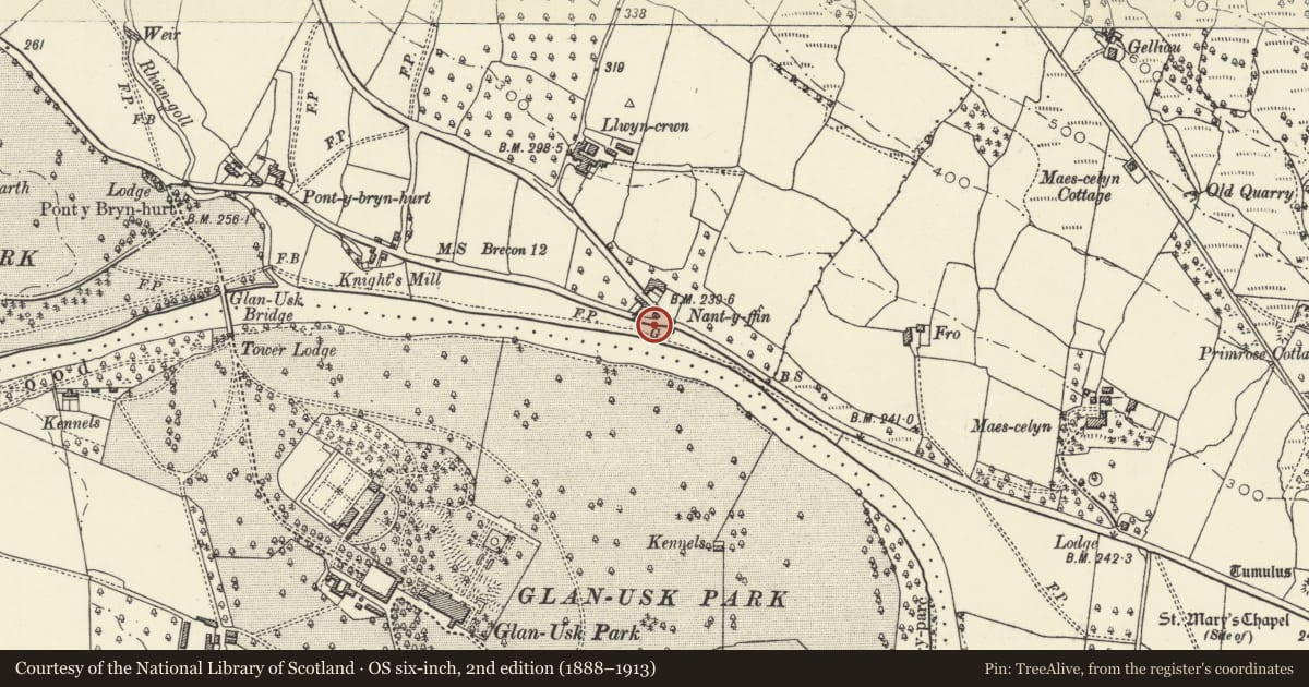 Ordnance Survey six-inch map, 2nd edition (1888–1913) covering the location of Automobile Association Telephone Call Box 161 at Nantyffin, Llanfihangel Cwmdu with Bwlch and Cathedine, Powys, with a pin at the register's coordinates