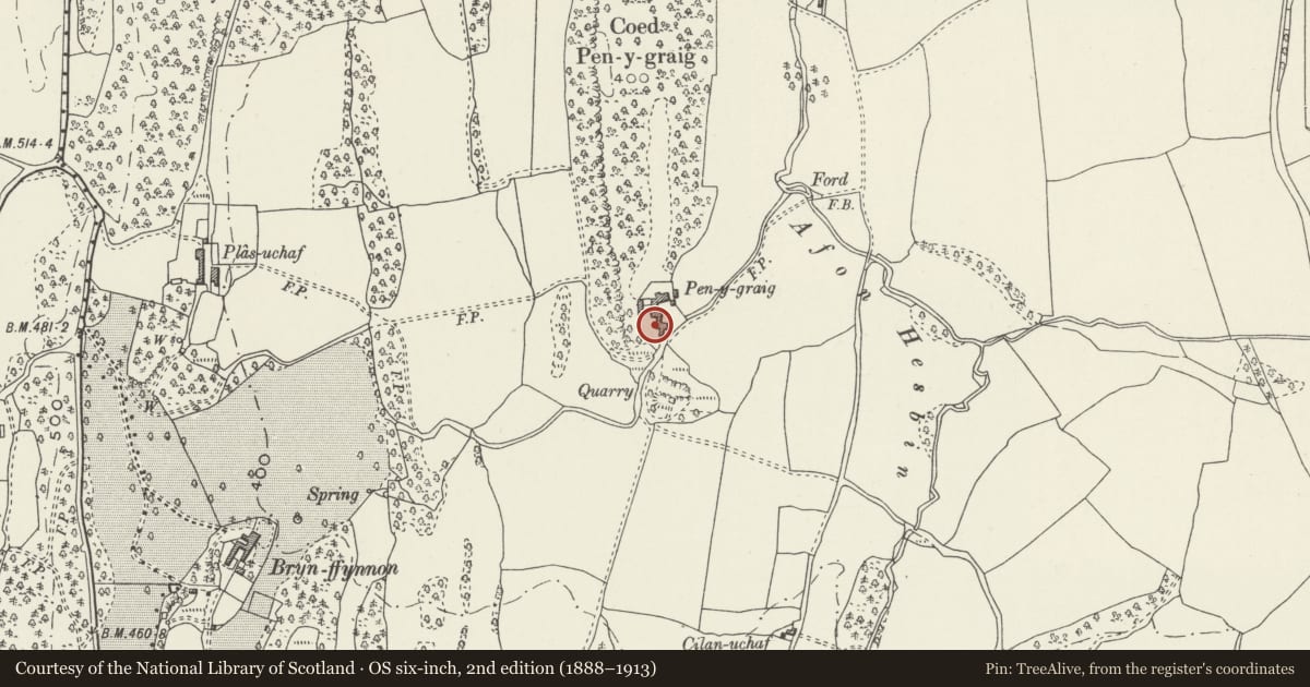 Ordnance Survey six-inch map, 2nd edition (1888–1913) covering the location of Dutch Barn at Pen-y-Graig Farm, Llanfair Dyffryn Clwyd, Denbighshire, with a pin at the register's coordinates