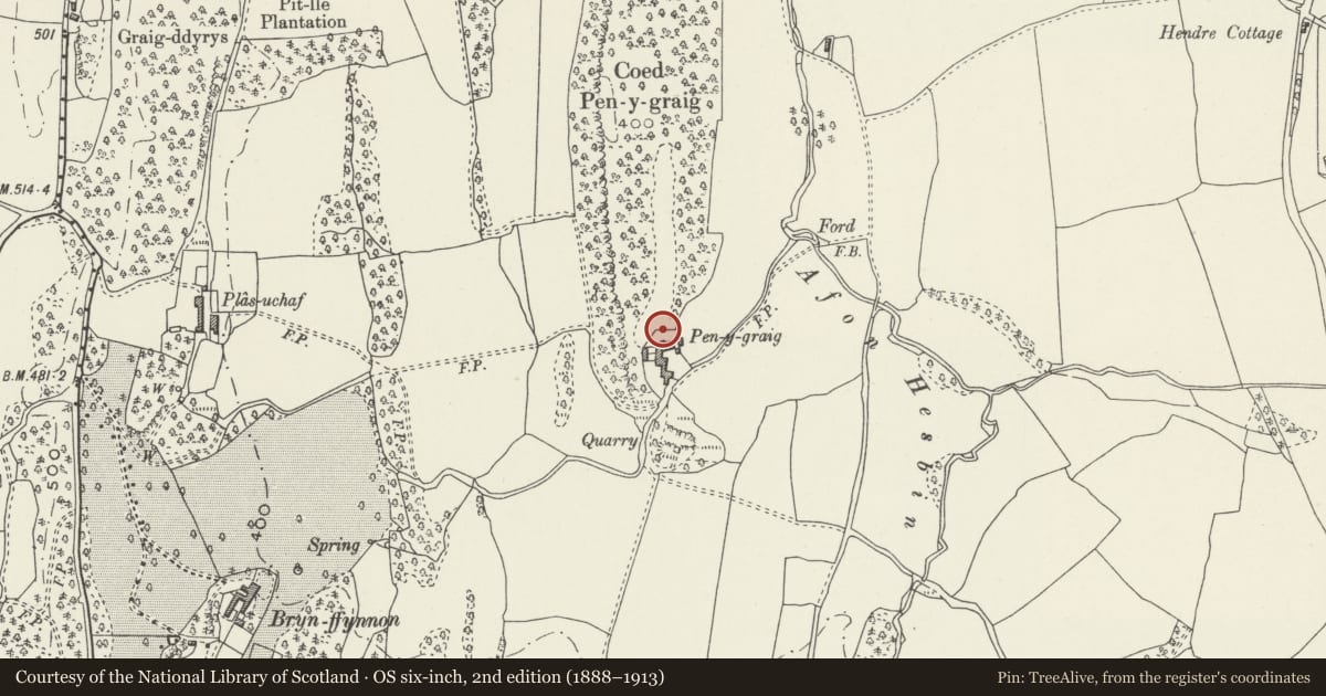 Ordnance Survey six-inch map, 2nd edition (1888–1913) covering the location of Ty Bach, Pen-y-Graig Farm, Llanfair Dyffryn Clwyd, Denbighshire, with a pin at the register's coordinates