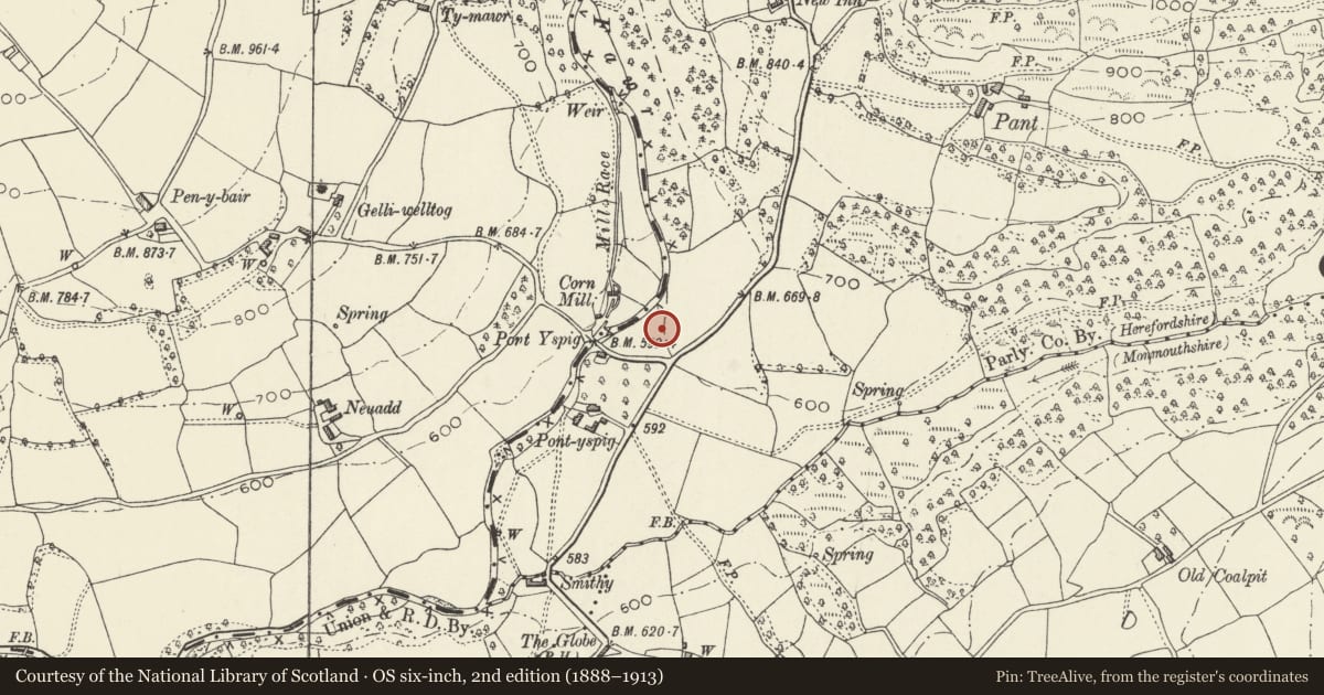 Ordnance Survey six-inch map, 2nd edition (1888–1913) covering the location of Telephone Call-box at Forest Coalpit, Crucorney, Monmouthshire, with a pin at the register's coordinates
