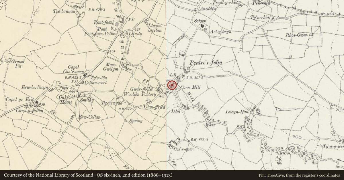 Ordnance Survey six-inch map, 2nd edition (1888–1913) covering the location of Dyffryn, Llanfair Clydogau, Ceredigion, with a pin at the register's coordinates