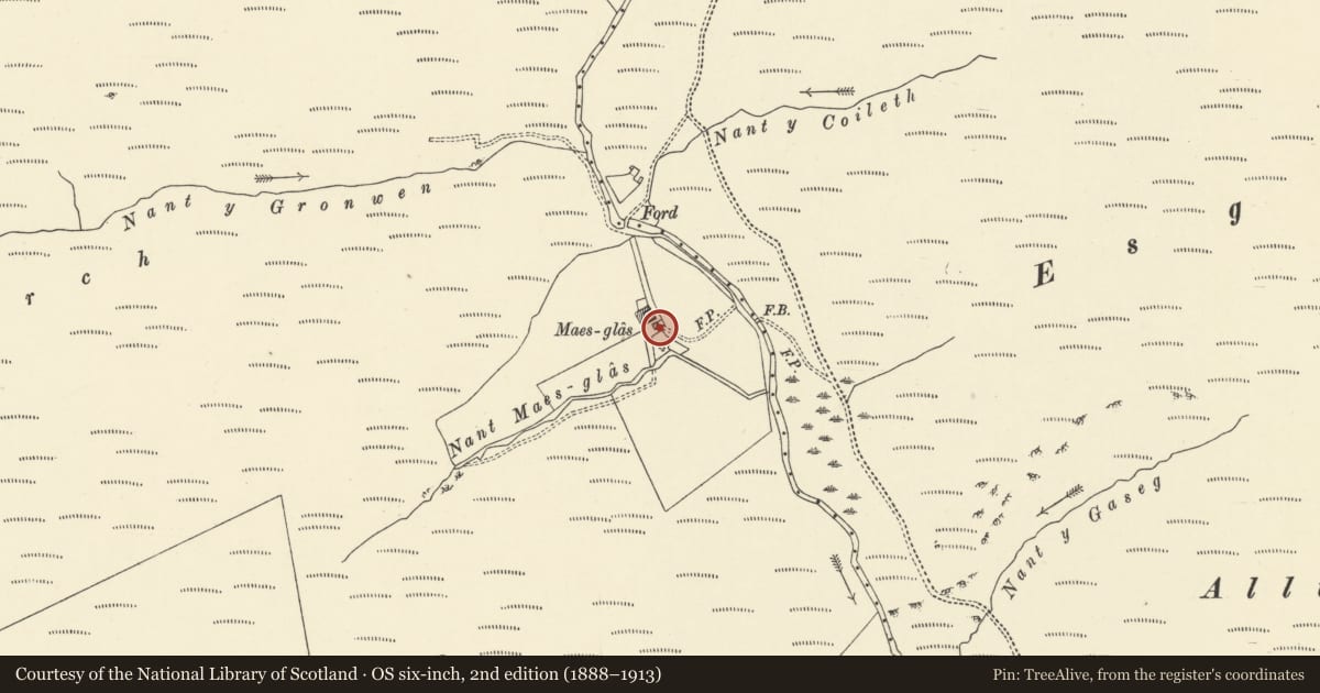 Ordnance Survey six-inch map, 2nd edition (1888–1913) covering the location of Maesglas, Llanddewi Brefi, Ceredigion, with a pin at the register's coordinates